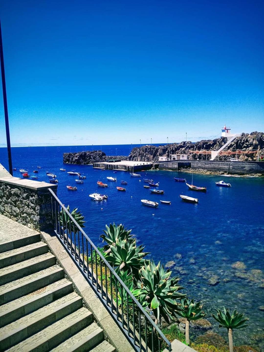 Cantinho Da Te Câmara de Lobos المظهر الخارجي الصورة