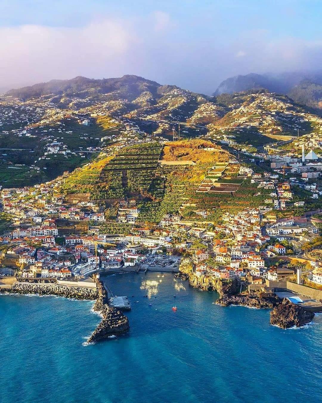 Cantinho Da Te Câmara de Lobos المظهر الخارجي الصورة